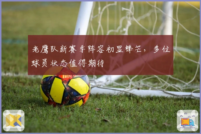 老鹰队新赛季阵容初显锋芒，多位球员状态值得期待