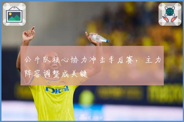 公牛队核心协力冲击季后赛，主力阵容调整成关键