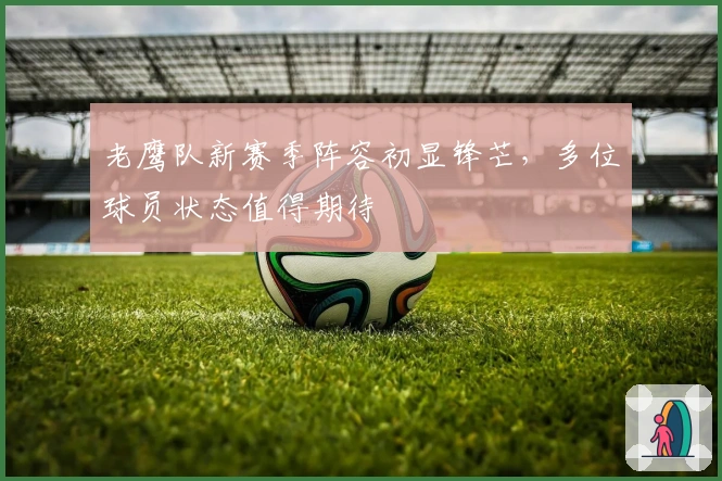 老鹰队新赛季阵容初显锋芒，多位球员状态值得期待